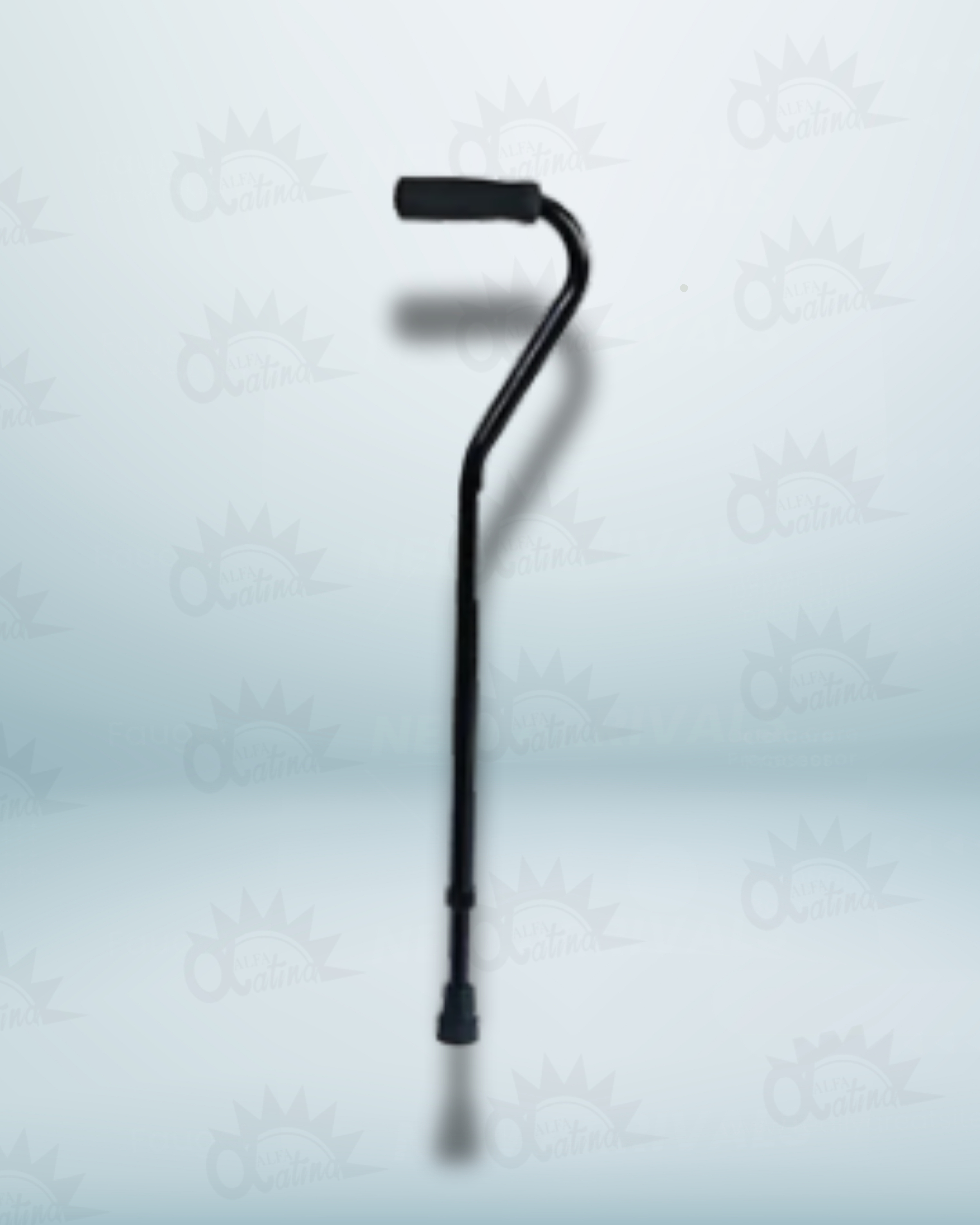 BASTON CUELLO DE CISNE NEGRO