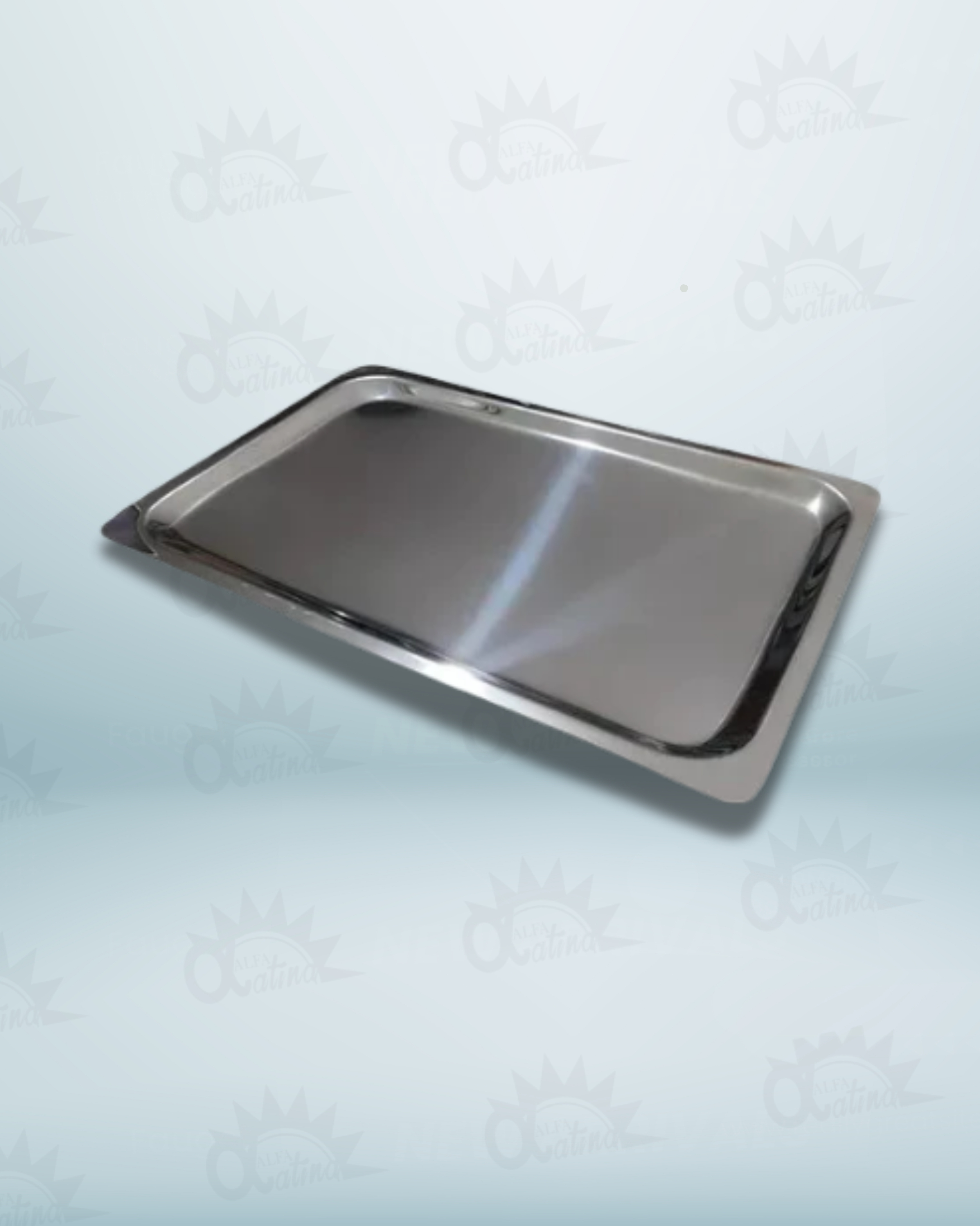 BANDEJA PARA INSTRUMENTAL EN ACERO DE 30X20 CMS